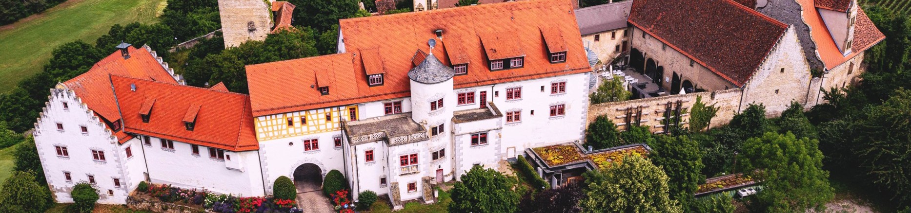 Schloss Liebenstein_von_oben